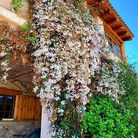 Casa Rural Balcón del Camino Viejo-3